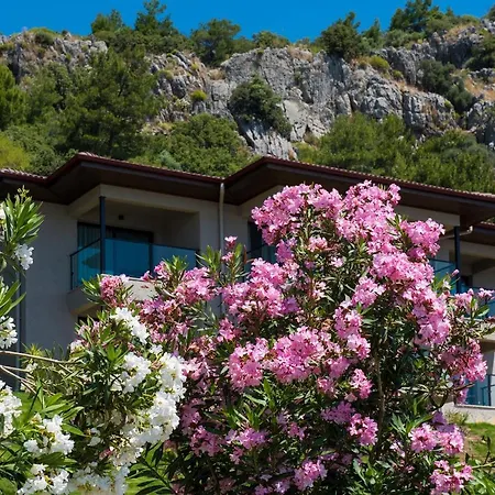 Semesteranläggning (resort) Tui Blue Seno - Adults Only 4*