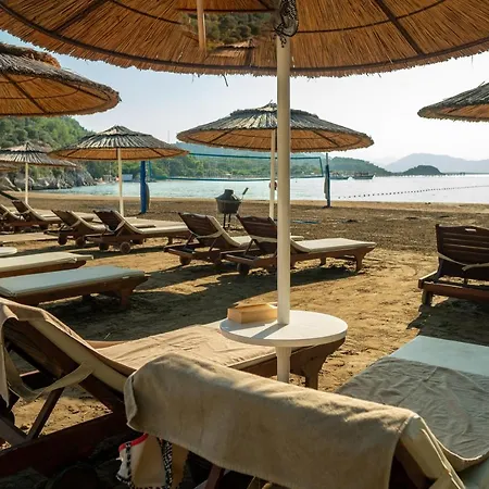 Tui Blue Seno - Adults Only Semesteranläggning (resort) 4*