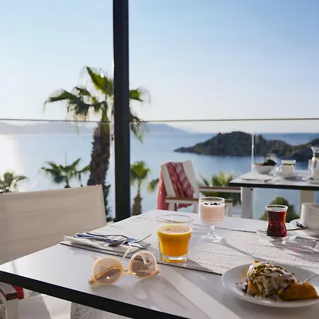 Semesteranläggning (resort) Tui Blue Seno - Adults Only 4*