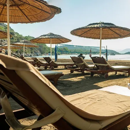 Tui Blue Seno - Adults Only منتجع