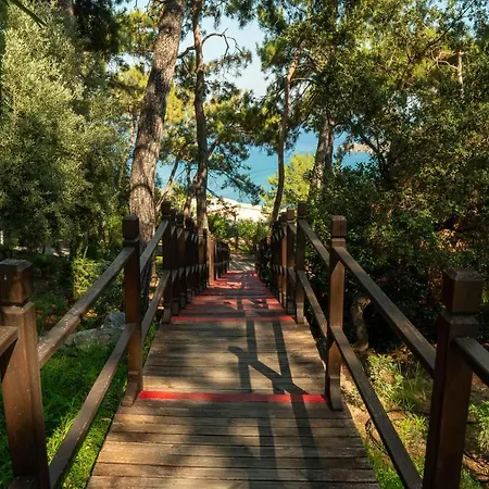 Tui Blue Seno - Adults Only 4* Саригерме